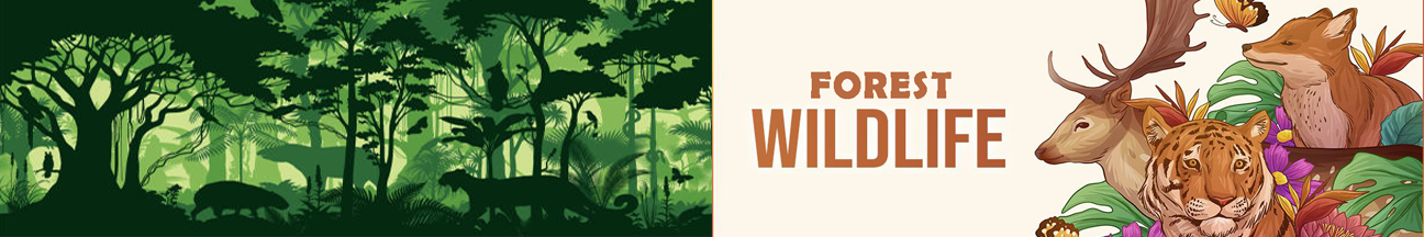 Forest wildlife final